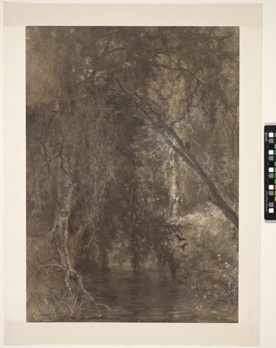 View in the Woods with a Small Water, near Wolfheze, Netherlands by Johannes Warnardus Bilders